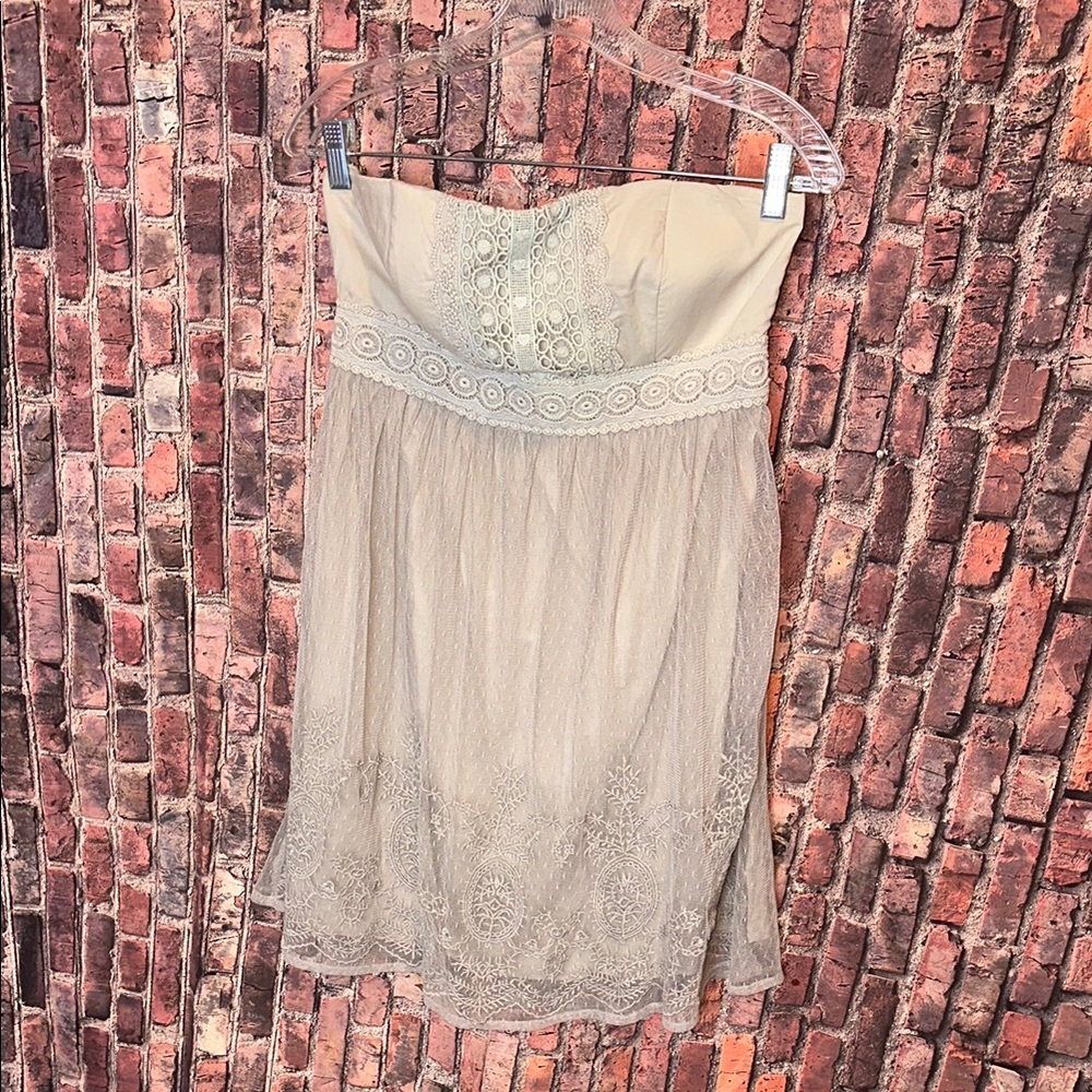 Mustard Seed Women's Beige Strapless Lace Dress Size Large